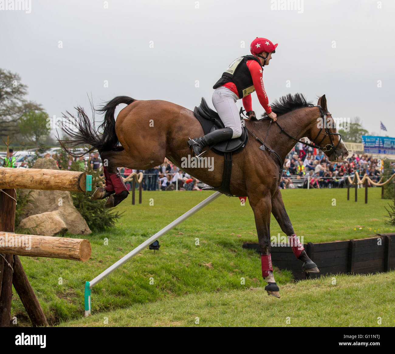 Caballo de salto en acción