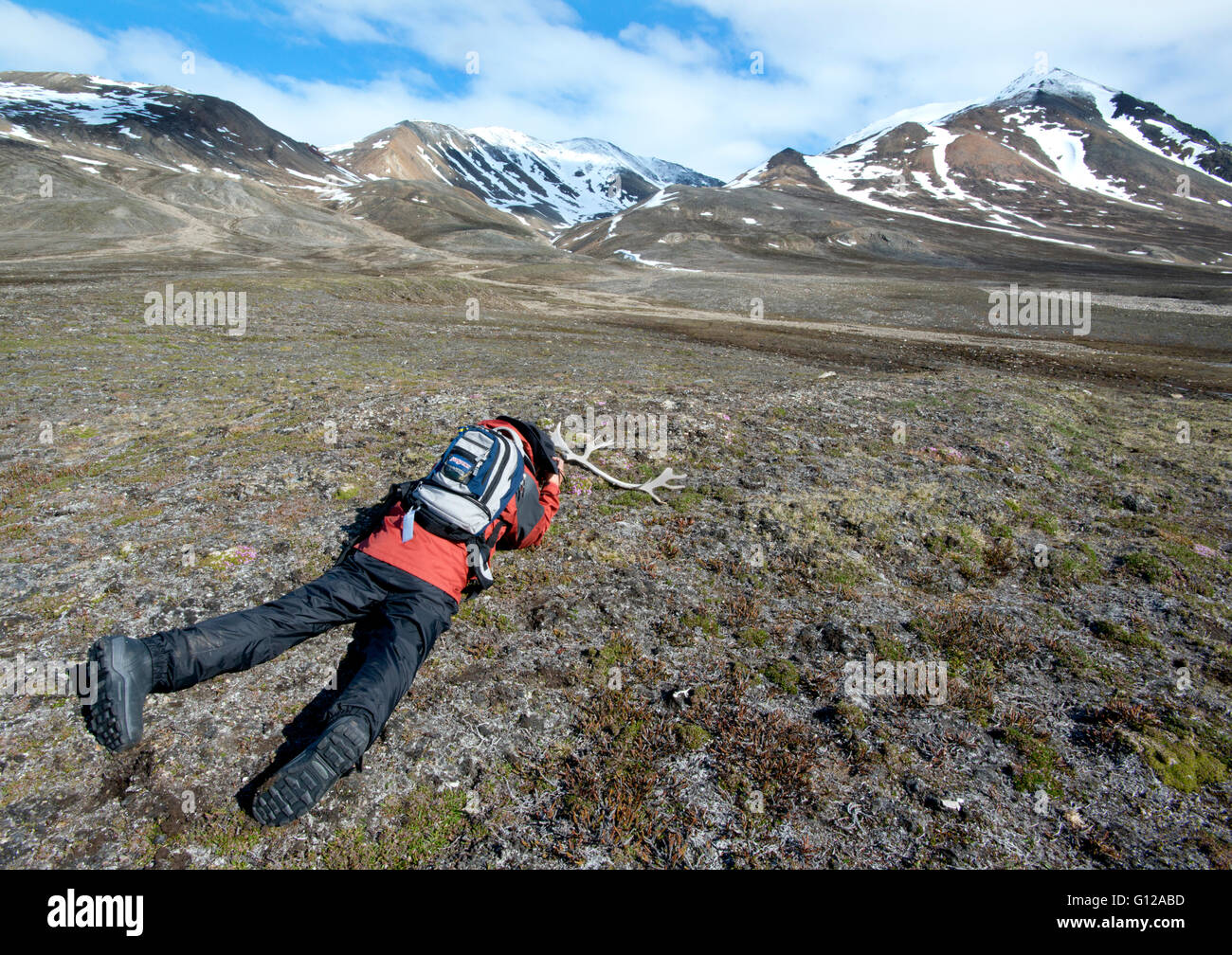 Europa, Noruega, Svalbard, fotografiar la cornamenta de reno en la tundra, Engelsbukta Foto de stock