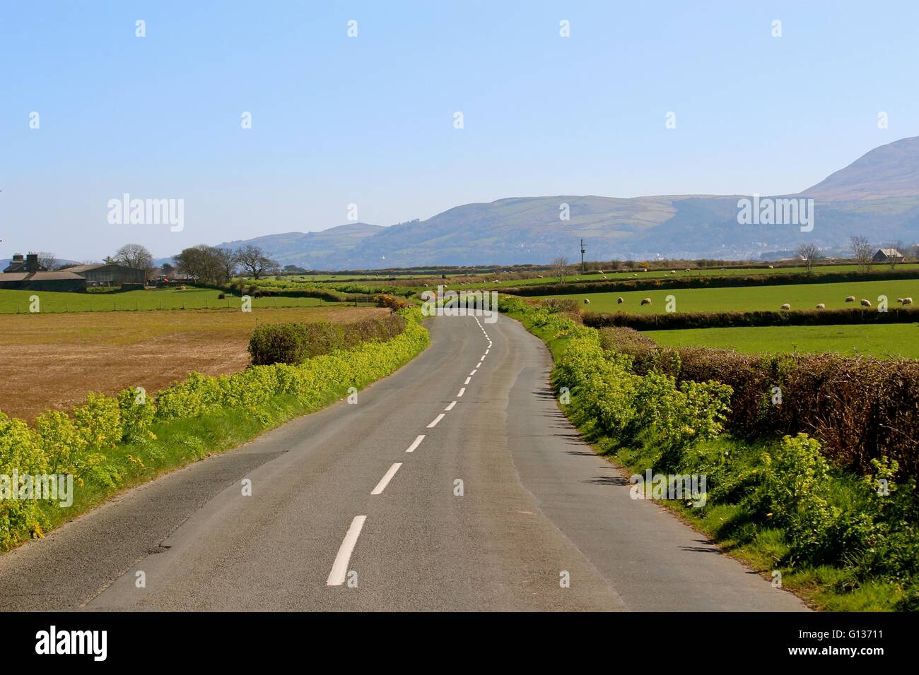 Serpenteante carretera vacía en la Isla de Man, el día soleado con el borroso ladera en la distancia Foto de stock