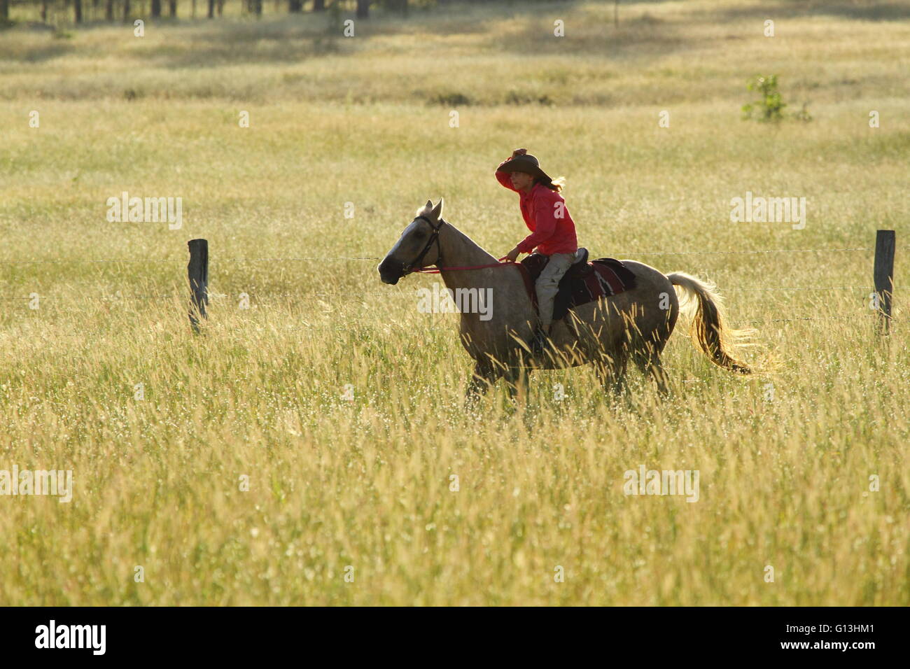 Una joven chica pre-adolescentes reteniendo hat y andar rápido sobre su caballo cerca de Eidsvold, Queensland, Australia durante un arreo de ganado. Foto de stock