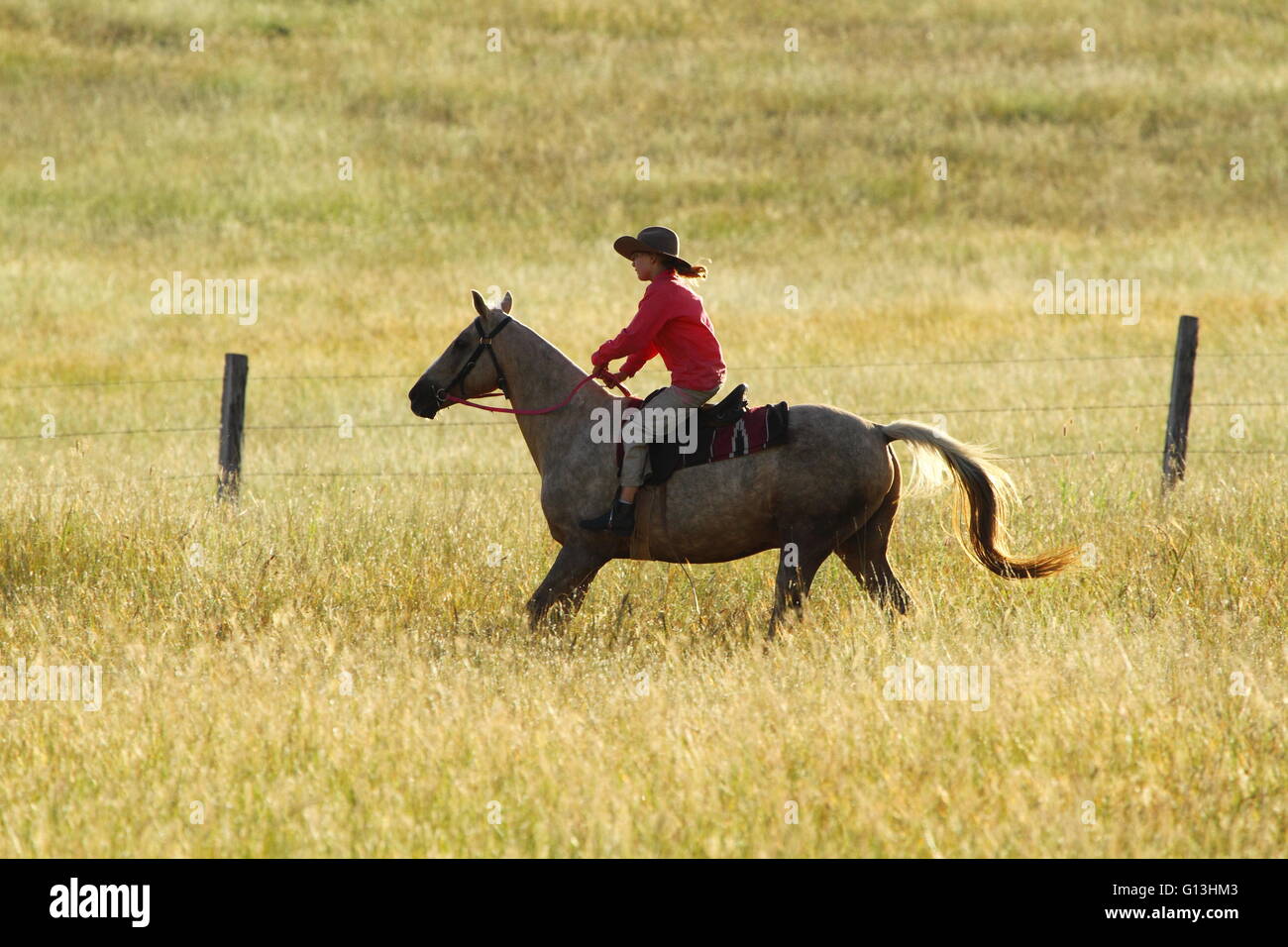 Una joven chica pre-adolescentes rápido sobre su caballo cerca de Eidsvold, Queensland, Australia durante un arreo de ganado. Foto de stock