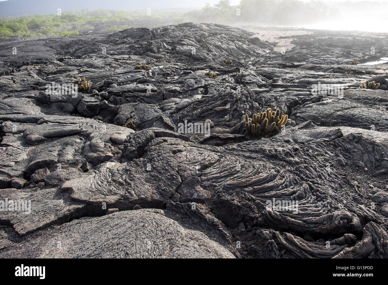 Formaciones de roca de lava en las Islas Galápagos Foto de stock