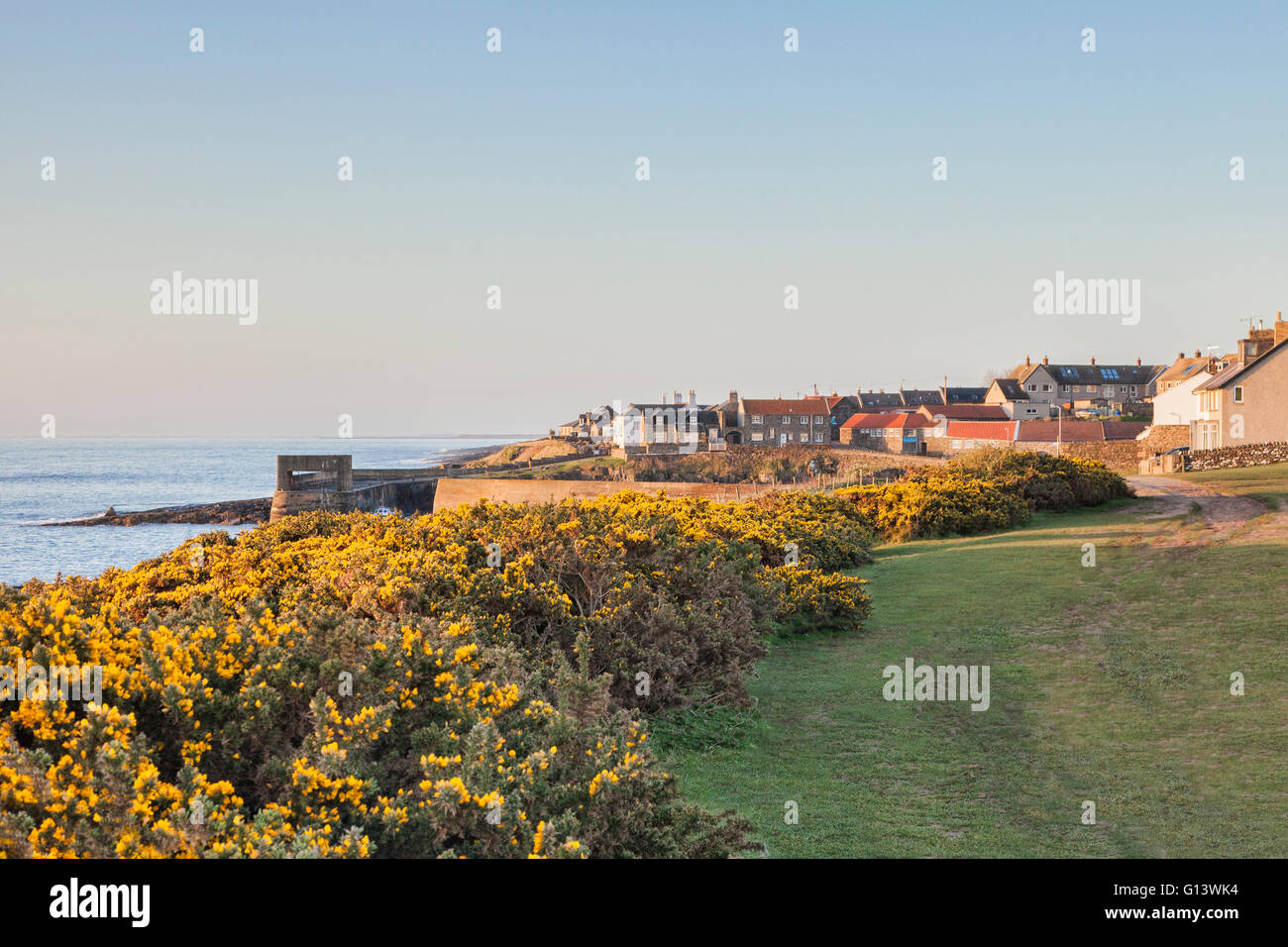 La aldea costera de Craster, Northumberland, Inglaterra, Reino Unido, lodoso sendero verdes. Foto de stock