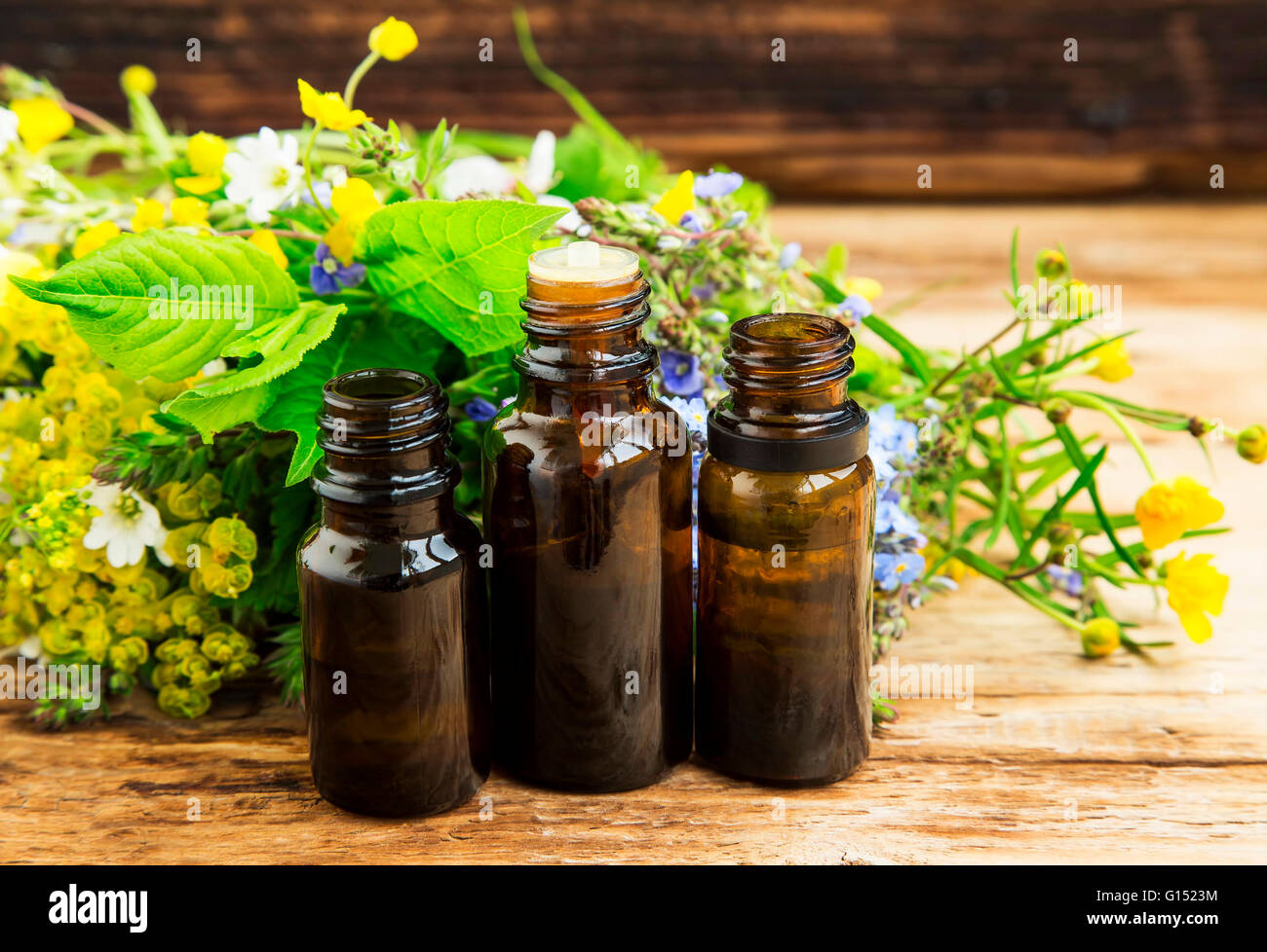 Alternativa medicina herbaria con plantas medicinales esencia botellas Foto de stock