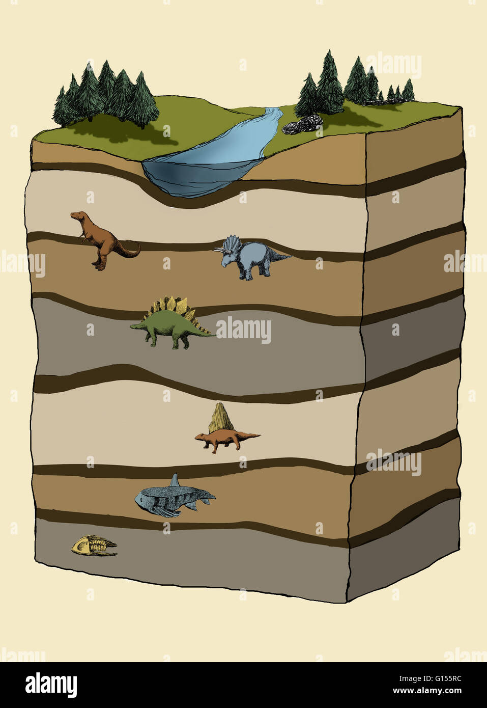 Una ilustración que muestra los diferentes estratos y periodos de tiempo desde los primeros