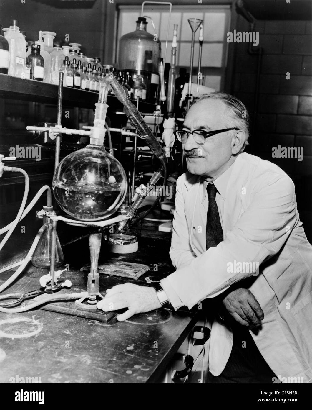 Selman Abraham Waksman (22 de julio de 1888 - 16 de agosto de 1973) fue un bioquímico y microbiólogo Ukrainian-American cuyas investigaciones en sustancias orgánicas y su descomposición promovió el descubrimiento de la estreptomicina y otros antibióticos. A profesar Foto de stock