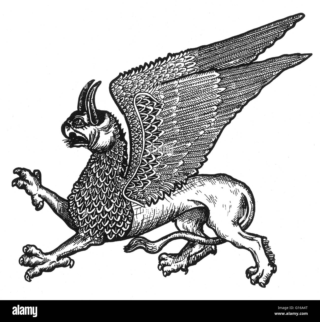 El Griffin es una criatura legendaria con el cuerpo, la cola y patas traseras de un león; la cabeza y alas de águila; y un águila de garras como sus patas delanteras. Como el león era tradicionalmente considerado como el rey de las bestias y el águila era el rey de los bi Foto de stock