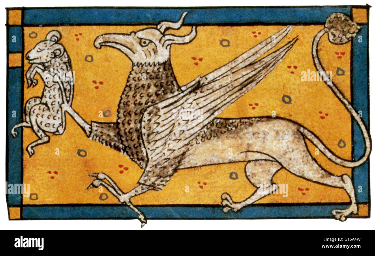 Griffin con presa aparece en Bestiaire en verso por Philippe de Thaon, 1285. El Griffin es una criatura legendaria con el cuerpo, la cola y patas traseras de un león; la cabeza y alas de águila; y un águila de garras como sus patas delanteras. Como el león estaba traditio Foto de stock