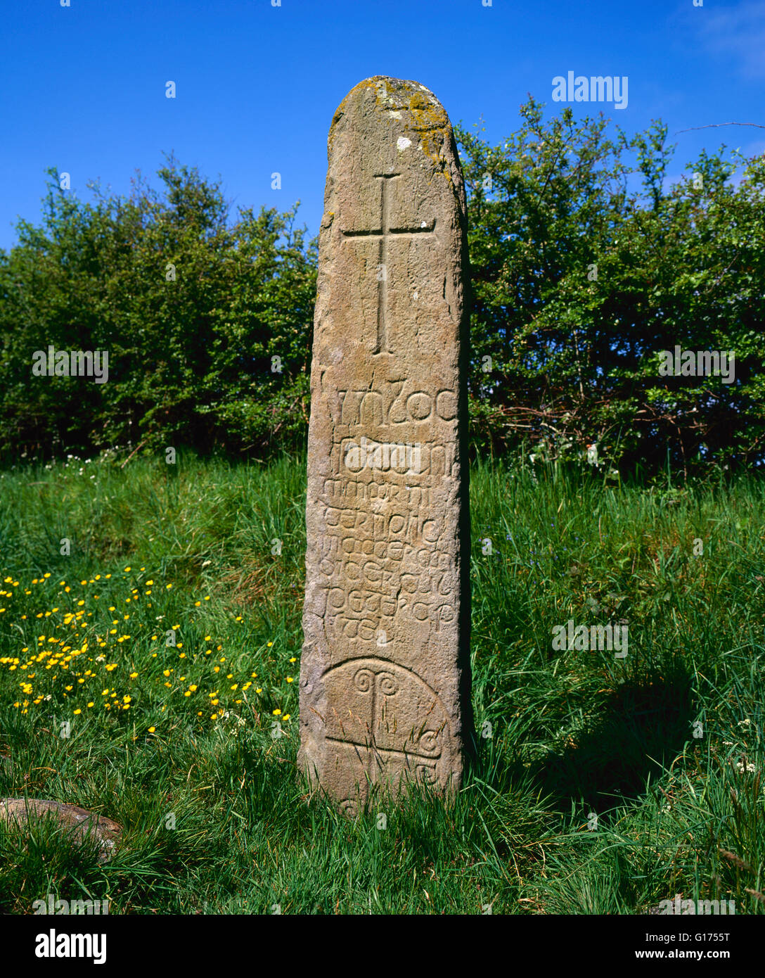 Kilnasaggart pilar de piedra, a principios del siglo I, 700's. Datación más antigua piedra en Irlanda, Condado de Armagh, Irlanda del Norte Foto de stock