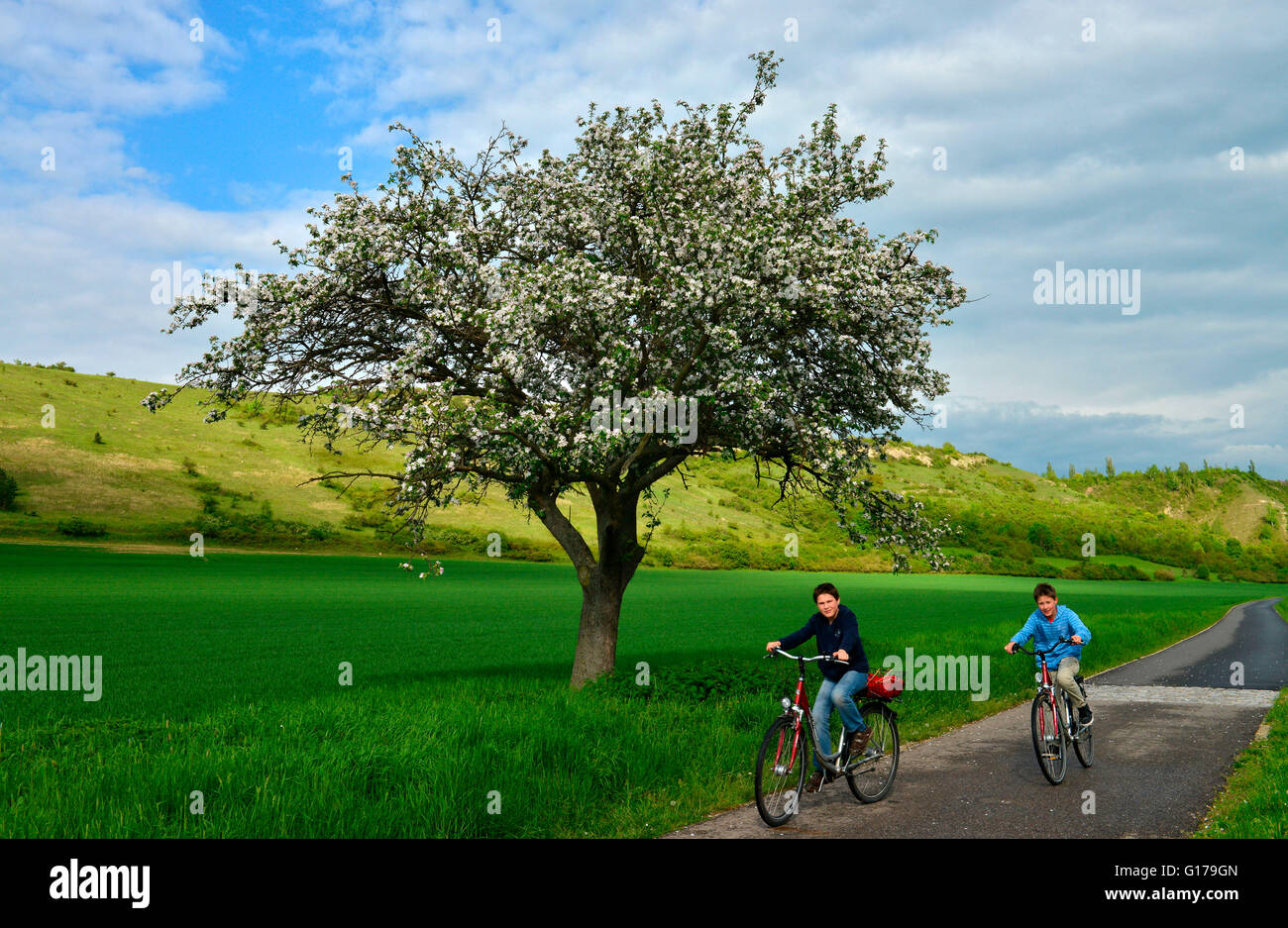 Kinder, Radfahren, Unstrut-Radweg, Sajonia-Anhalt, Alemania Foto de stock