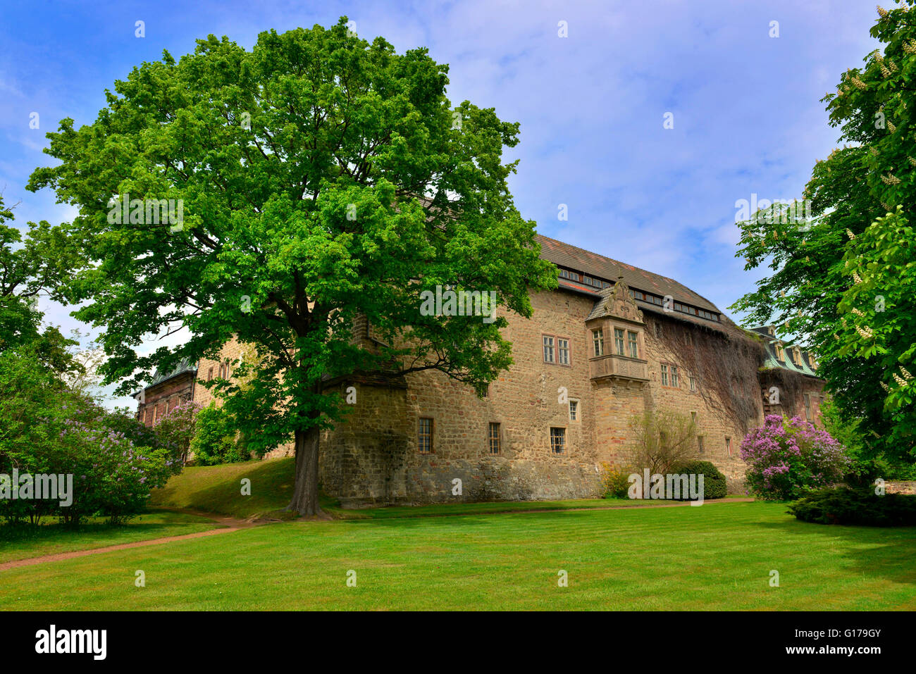 Castillo Burgscheidungen, Sajonia-Anhalt, Alemania Foto de stock