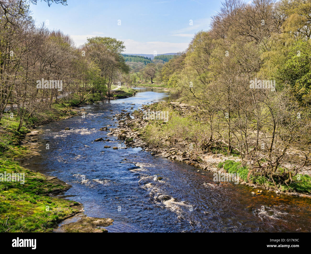 Un tranquilo tramo del río Wharfe, en Yorkshire Dales National Park, en un brillante día de primavera. Bolton Abbey Estate... Foto de stock