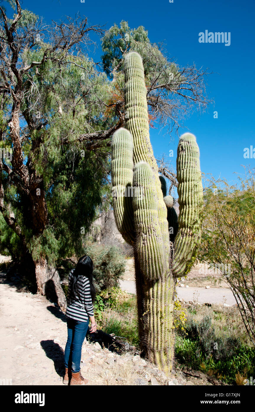 Cactus girl fotografías e imágenes de alta resolución - Alamy