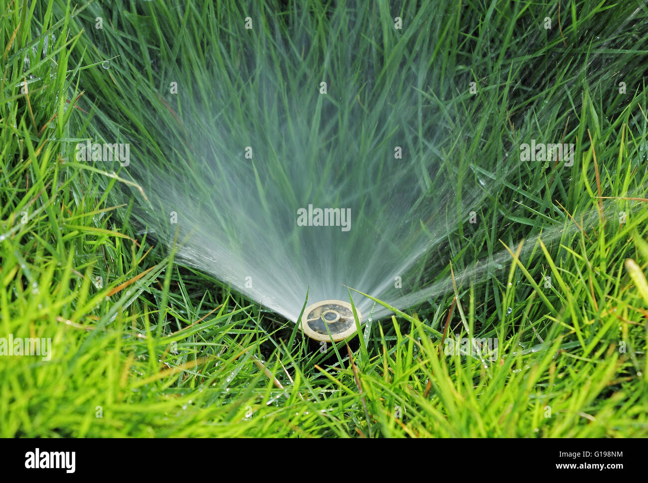 Cerca de pequeños cursos de agua de los rociadores de césped incorporado Foto de stock