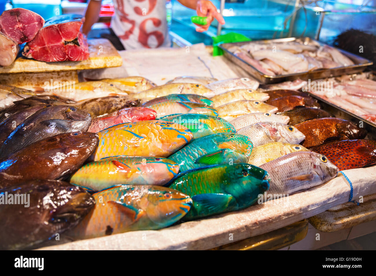 Diferentes tipos de peces para la venta en el mercado de pescado Foto de stock