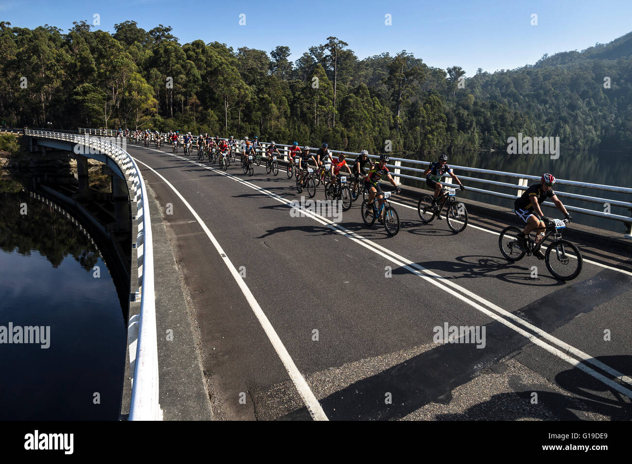 Los ciclistas de montaña racing en Tasmania's Wildside MTB evento. Foto de stock