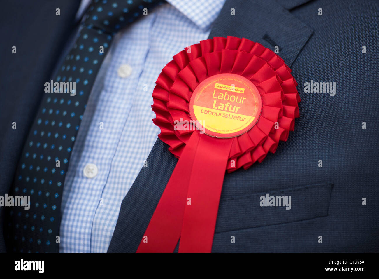 Roseta laboral galés rojo usado por un activista del partido laborista galés. Foto de stock