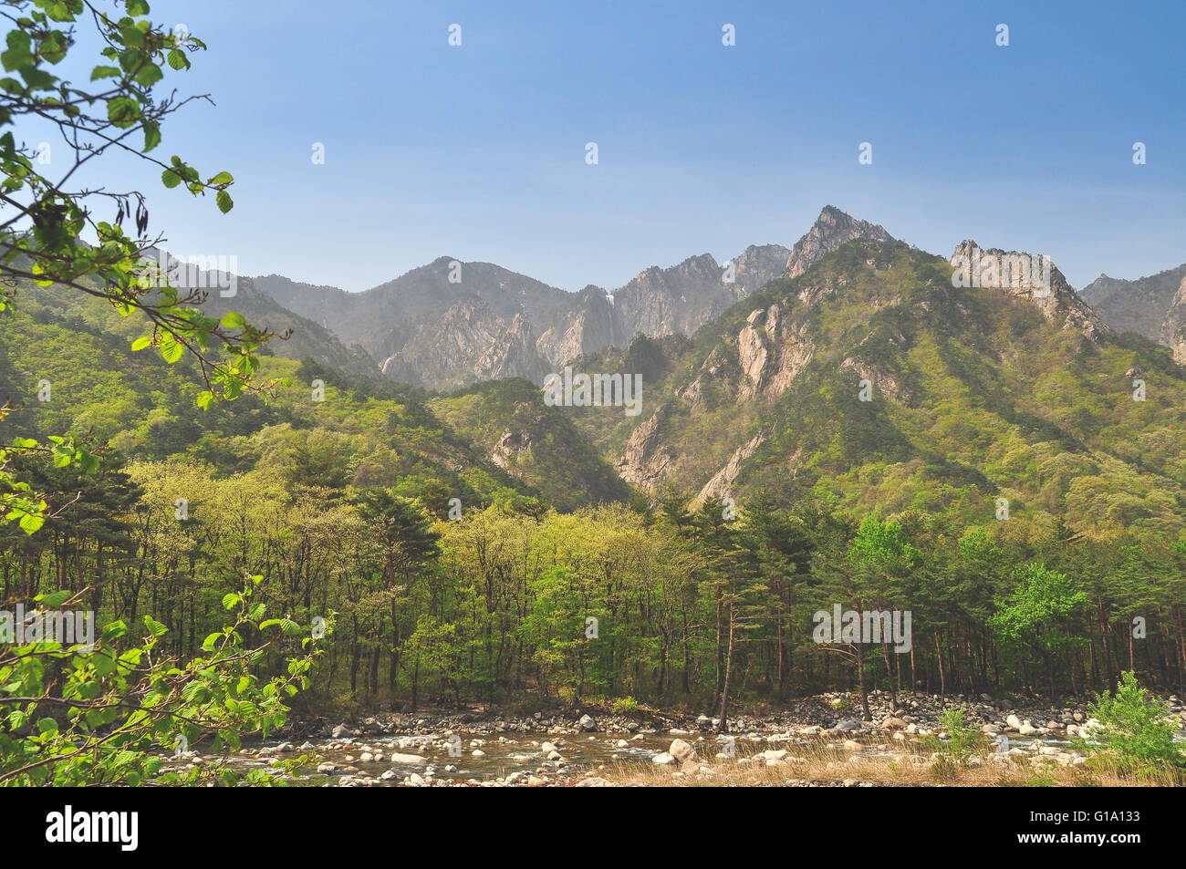 El paisaje de montaña en el Parque Nacional de Seoraksan, Corea Foto de stock