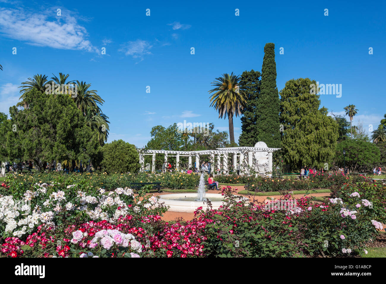 Jardín de rosas, Rosedal, Buenos Aires, Argentina Fotografía de stock -  Alamy