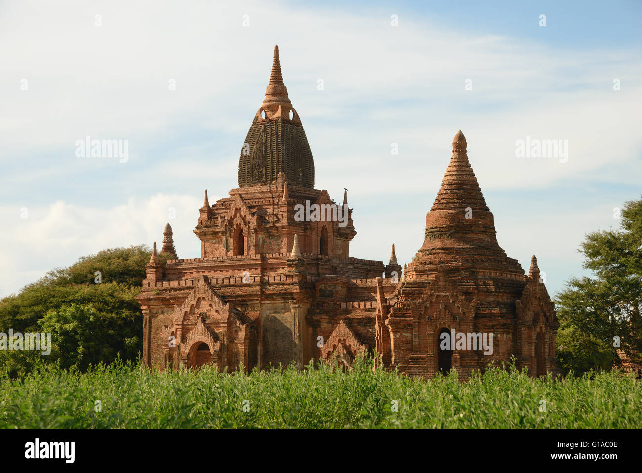 Templos de bagan en Myanmar Foto de stock