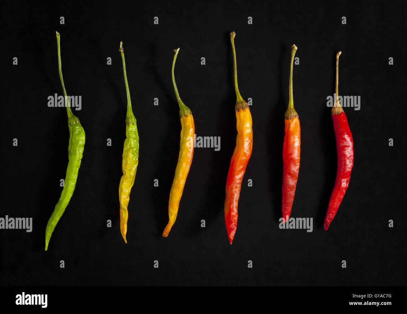 Degradación de hot chili peppers Foto de stock