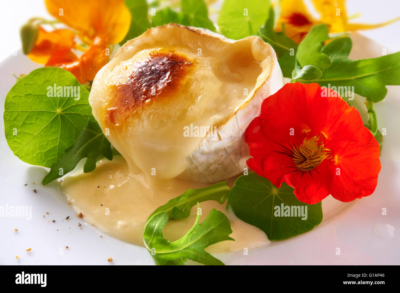 Grillefd derretido de queso de cabra fresco con ensalada de hojas y flores de capuchina Foto de stock