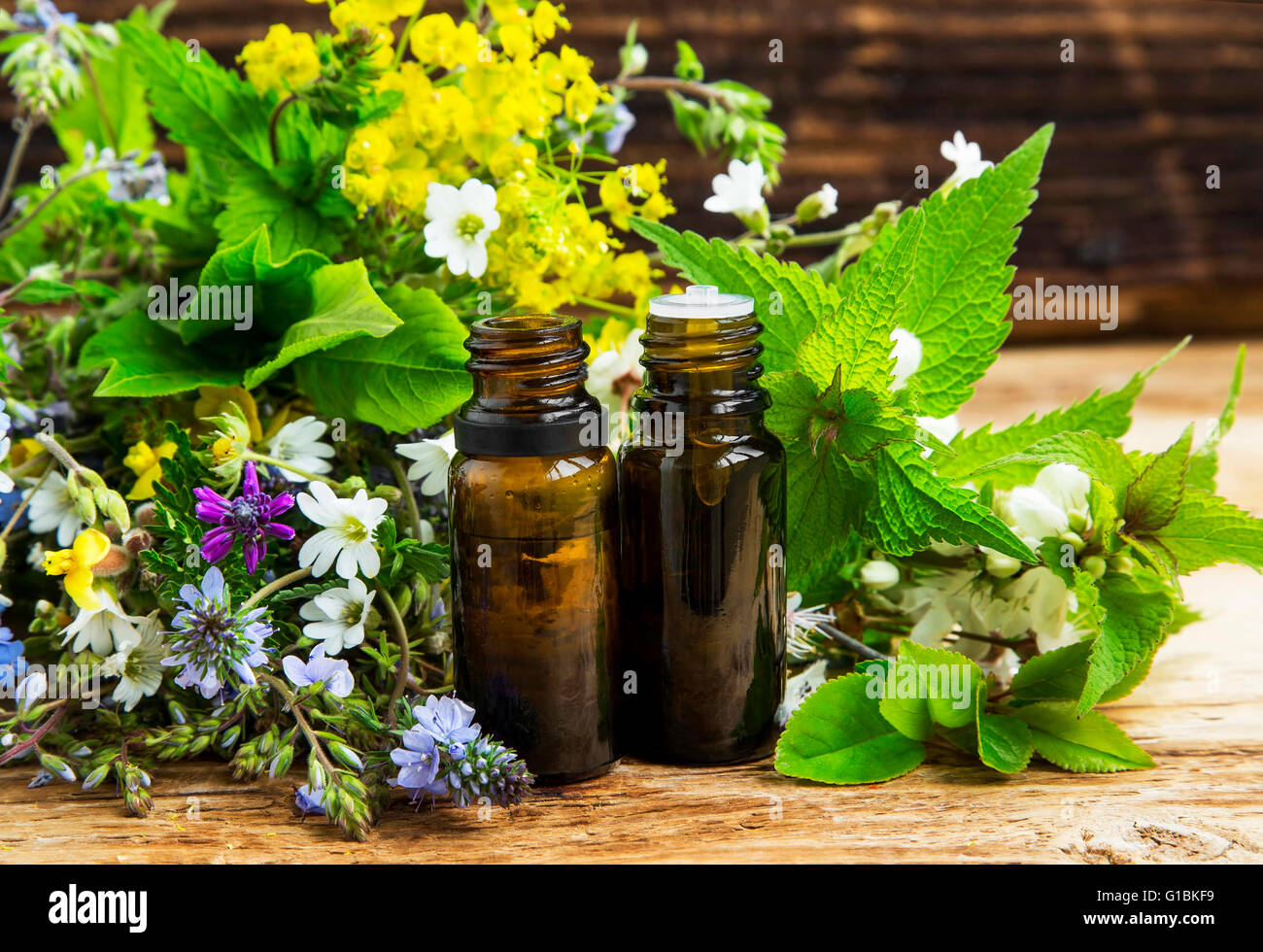 Alternativa medicina herbaria con plantas medicinales esencia botellas Foto de stock