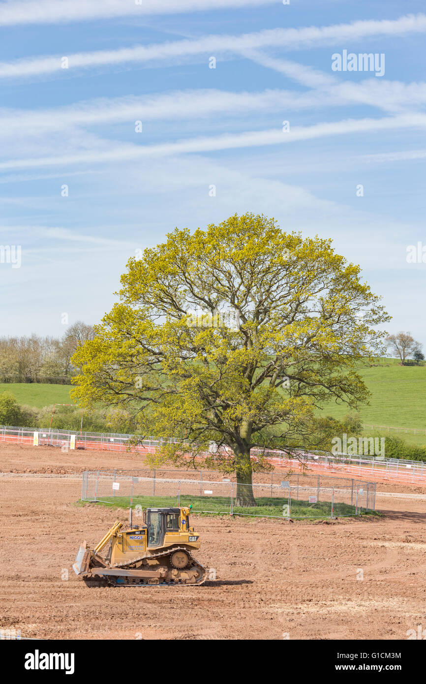 Nuevo desarrollo en antiguos terrenos del cinturón verde con una valla de protección en torno a una encina, Inglaterra, Reino Unido. Foto de stock
