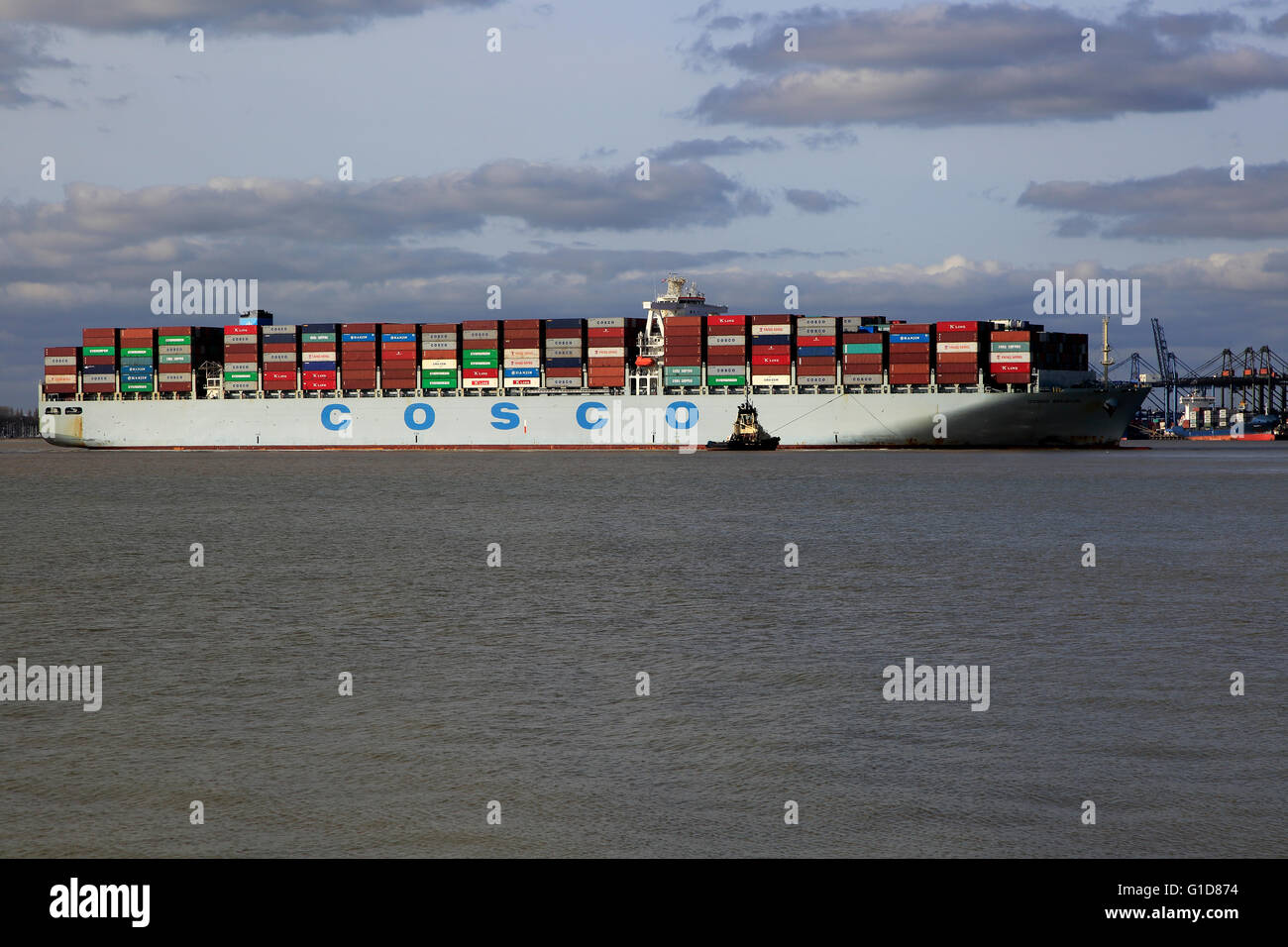 Naviera Cosco barco de contenedores que llegan al puerto de Felixstowe, Suffolk, Inglaterra, Reino Unido. Foto de stock