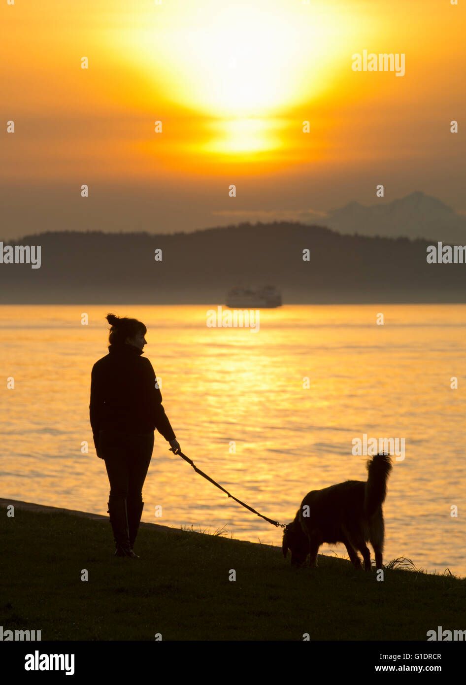 Mujer paseando a un perro al atardecer, Alki Beach, Seattle, Washington Foto de stock