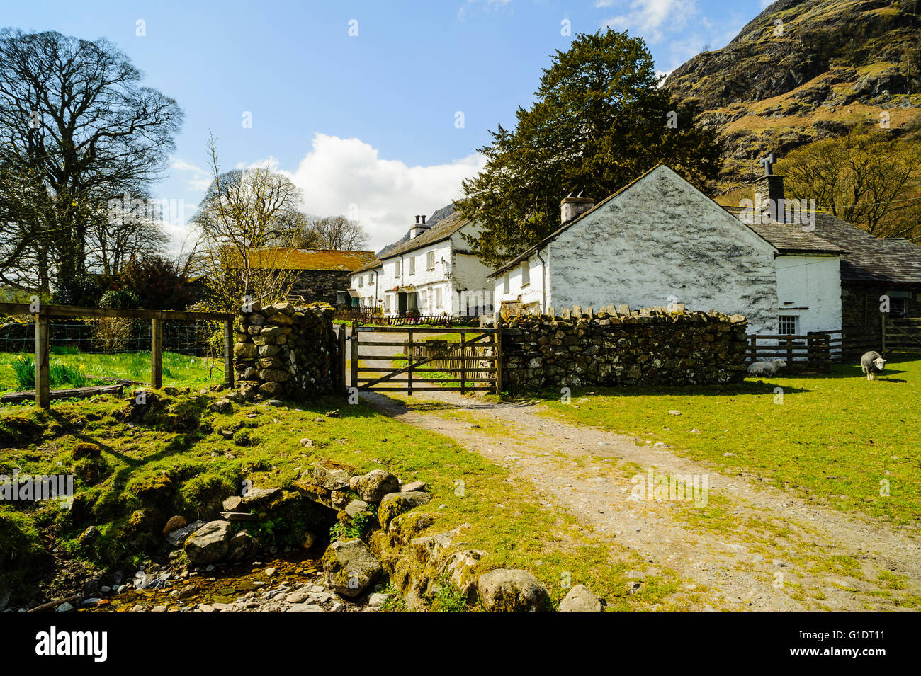 Baja cerca de la granja de Yewdale Coniston en el Lake District, una zona familiar para golondrinas y Amazonas autor Arthur Ransome Foto de stock