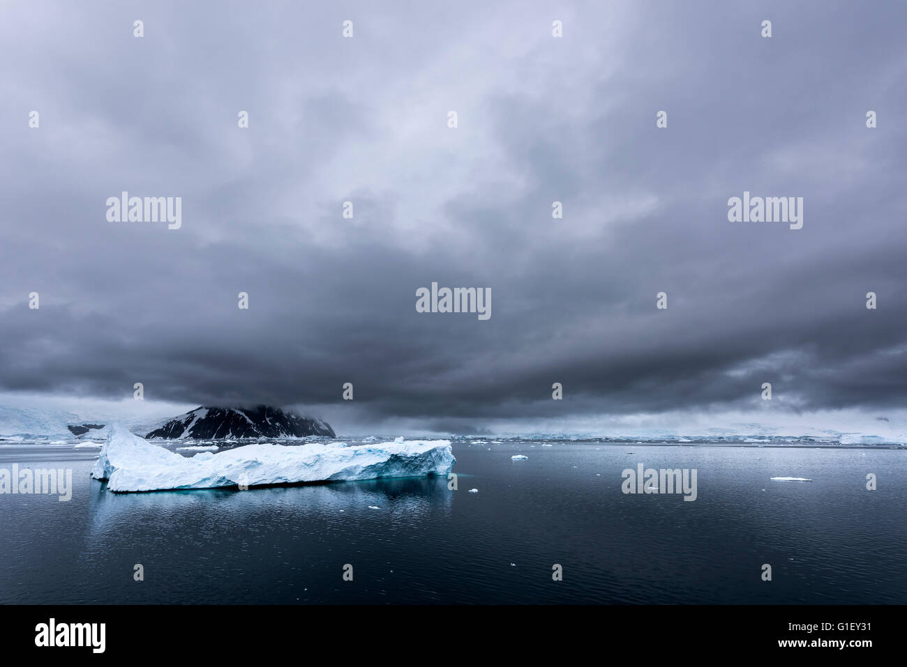 Montañas de hielo flotante Neko Harbour y la costa de la Península Antártica La Antártida Foto de stock