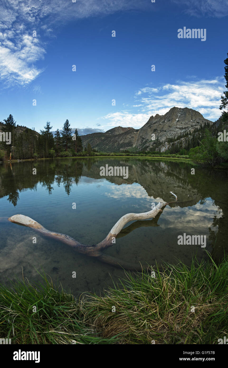 Amplio ángulo de imagen de Silver Lake en la tarde con pasto de primer plano y log Foto de stock