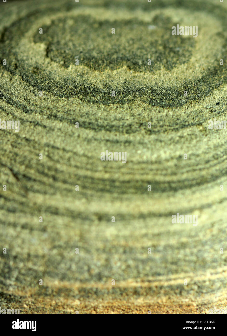 En Galés bandas sedimentaria de arenisca verde Foto de stock