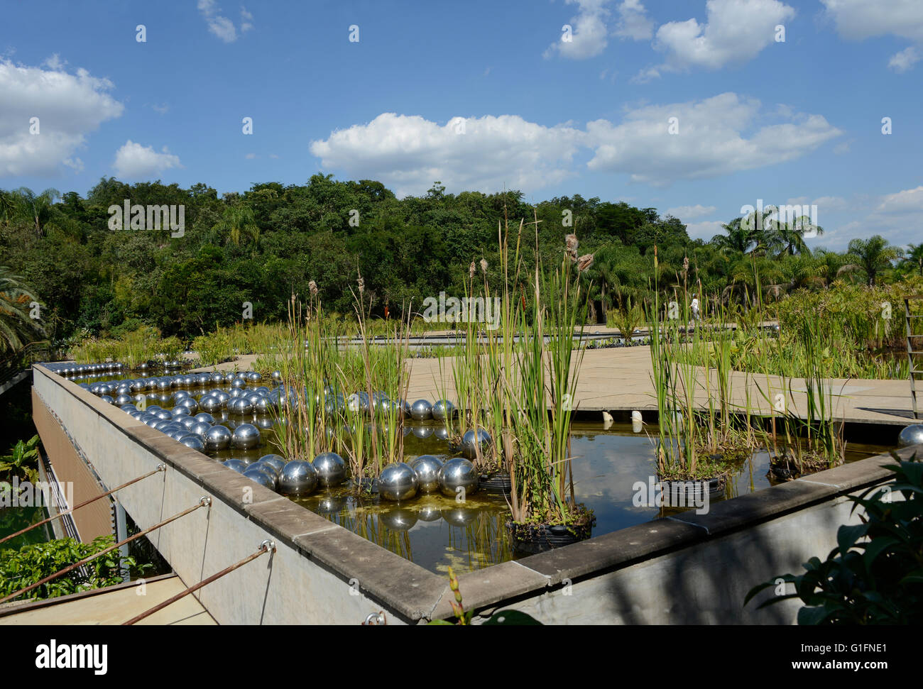 Brunadinho, Inhotim, en Minas Gerais, Brasil - Febrero 2013: Yayoi Kusama Narciso jardín, bolas de acero inoxidable sobre el agua en el Foto de stock