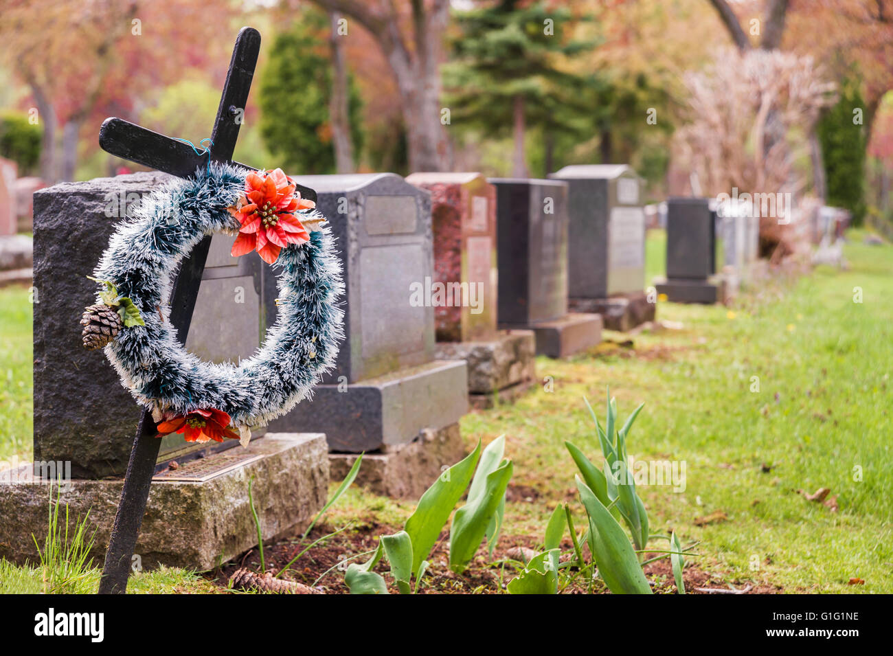 Corona funeral con flores rojas sobre una cruz, en un cementerio con muchas lápidas en el fondo. Foto de stock