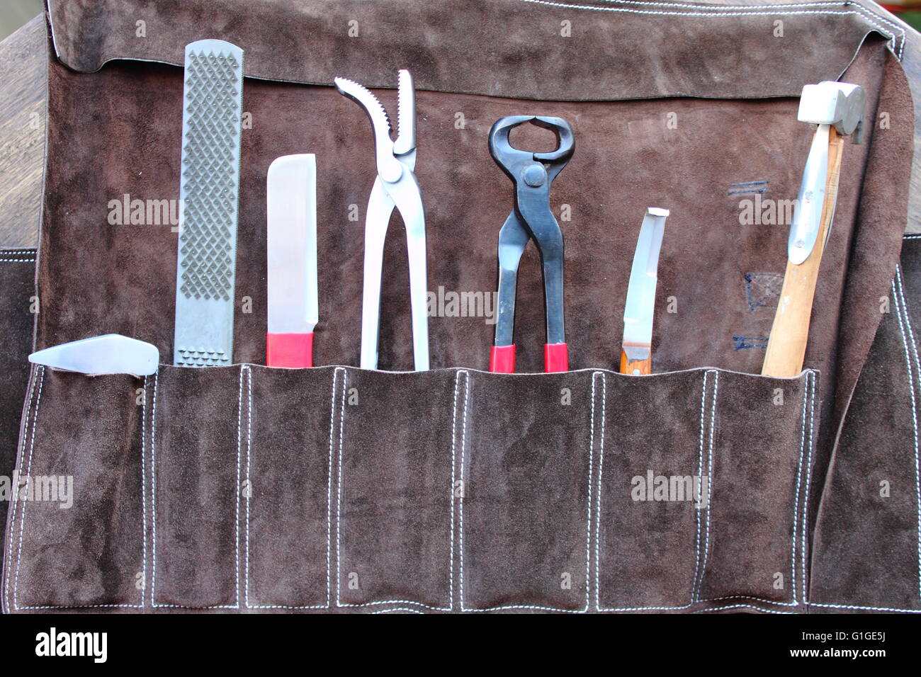 Herramientas de herrar caballos extractores de martillo tachuelas archivo  Fotografía de stock - Alamy