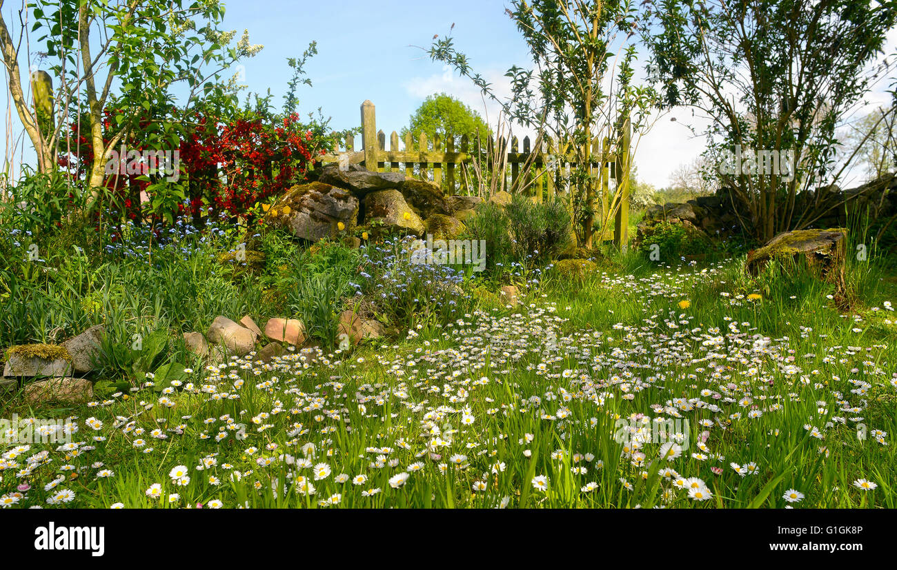 Idílico jardín con flores en blanco, azul, amarillo y rojo. Foto de stock