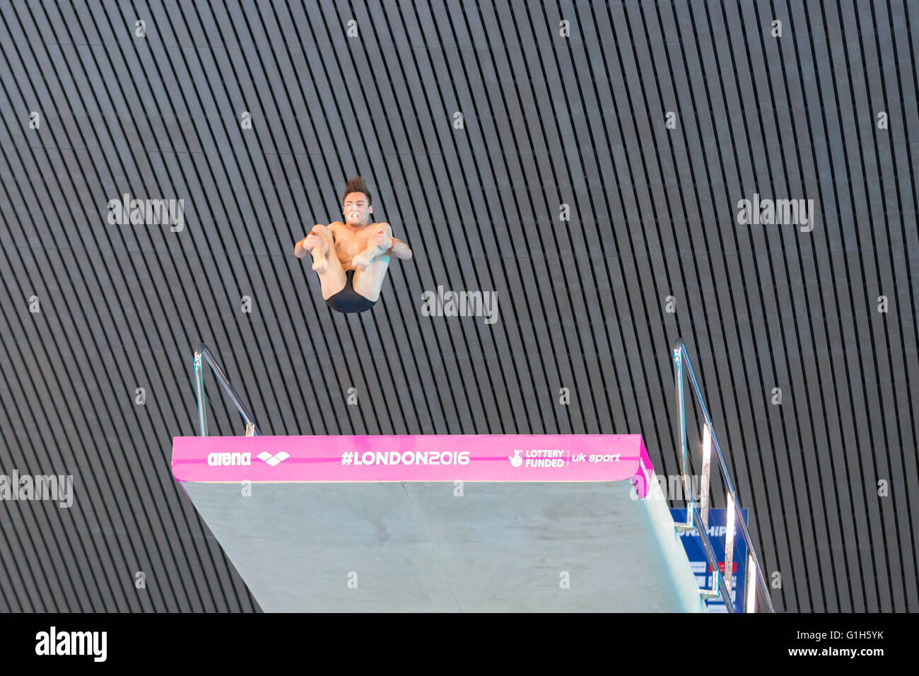 Aquatics Center, Olympic Park, Londres, Reino Unido. 15th de mayo de 2016. El buceador británico Tom Daley (Thomas Daley) en su 5th ronda de buceo, un convincente Reverso 3-1/2 somersaults Tuck. Tom Daley gana oro con 570,50 puntos, por delante de Victor Minibaev de Rusia con 424,60 puntos y un segundo ruso, Nikita Shleikher con 480,90 puntos en el Campeonato Europeo de Acuáticos LEN. Crédito: Imageplotter News y Deportes/Alamy Live News Foto de stock