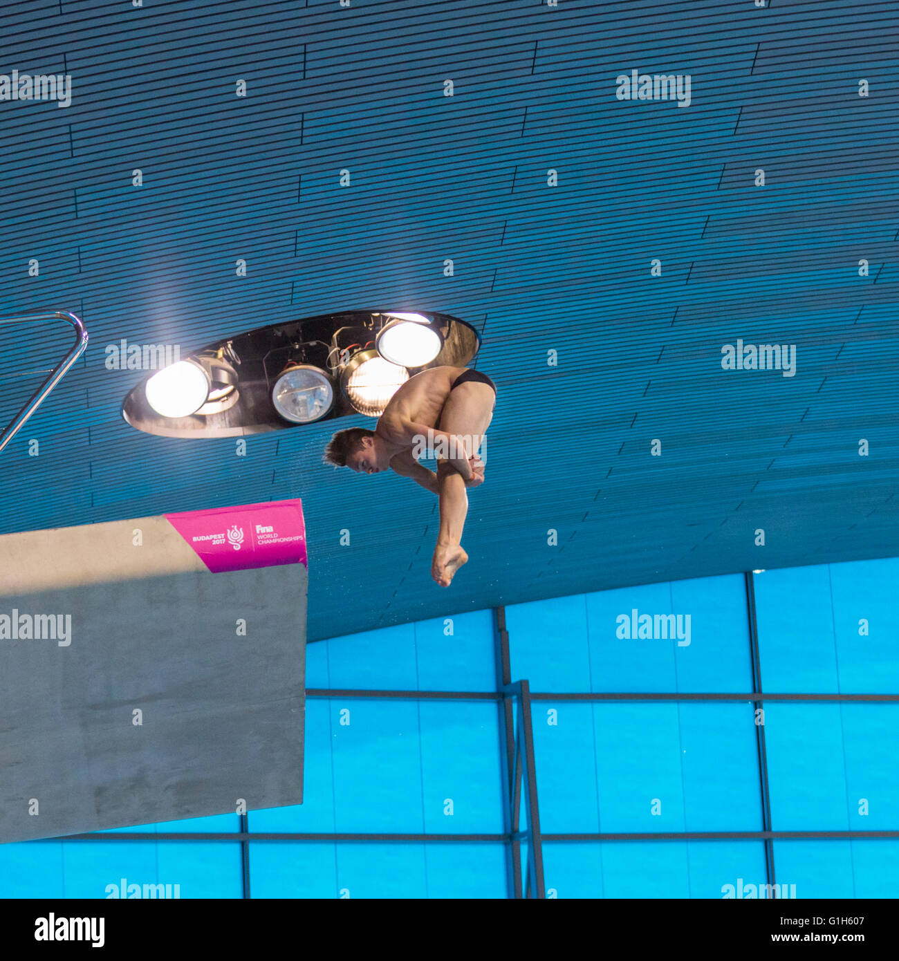 Aquatics Center, Olympic Park, Londres, Reino Unido. 15th de mayo de 2016. El buceador británico Tom Daley (Thomas Daley) en su ronda de buceo de 6th, A Back 3-1/2 somersaults Pike. Tom Daley gana oro con 570,50 puntos, por delante de Victor Minibaev de Rusia con 424,60 puntos y un segundo ruso, Nikita Shleikher con 480,90 puntos en el Campeonato Europeo de Acuáticos LEN. Crédito: Imageplotter News y Deportes/Alamy Live News Foto de stock