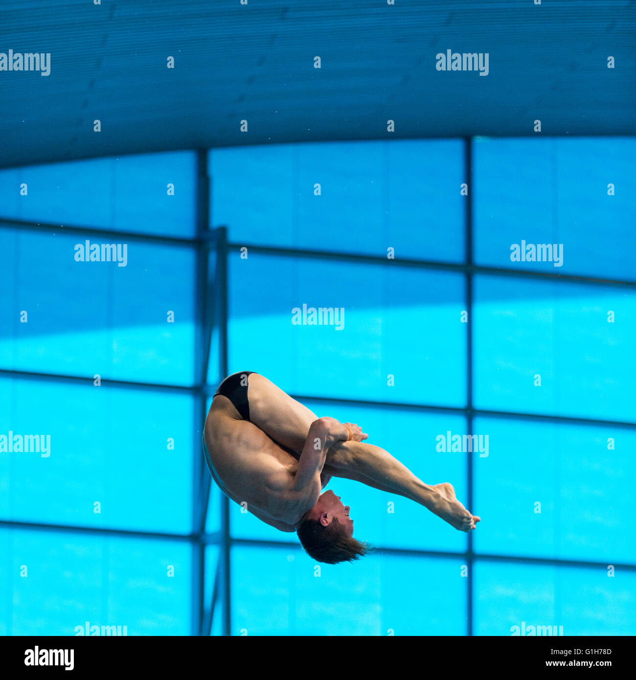 Aquatics Centre, Olympic Park, Londres, Reino Unido. El 15 de mayo de 2016. Británico Tom Daley durante su tercera ronda Armstand vuelta 3 Volteretas Pike de buceo. Posteriormente gana el oro con 570.50 puntos, por delante de Victor Minibaev Desde Rusia con 424.60 puntos y un segundo ruso, Nikita Shleikher con 480.90 puntos en los Campeonatos de Europa LEN Aquatics. Crédito: Imageplotter noticias y deportes/Alamy Live News Foto de stock