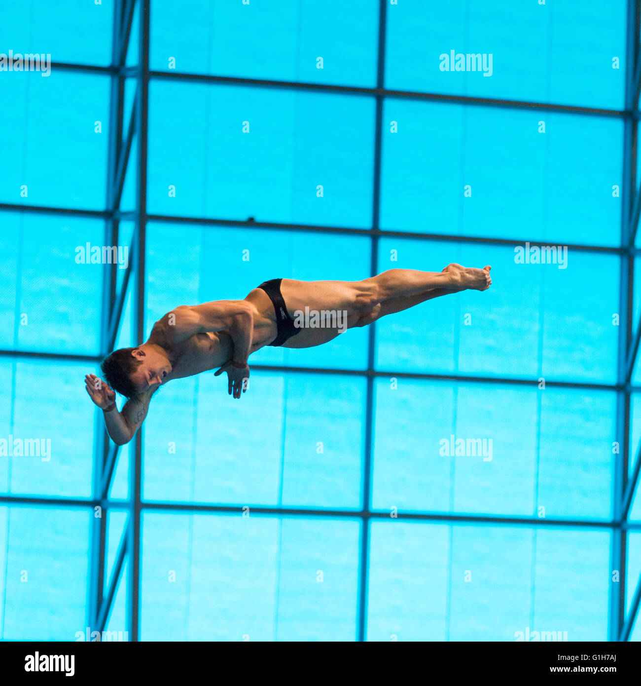 Aquatics Center, Olympic Park, Londres, Reino Unido. 15th de mayo de 2016. El buceador británico Tom Daley (Thomas Daley) en su ronda de 2nd hacia adelante 3-1/2 somersaults 1 Twist Pike buceo. El buceador británico Tom Daley gana oro con 570,50 puntos, por delante de Viktor Minibaev de Rusia con 424,60 puntos y un segundo ruso, Nikita Shleikher con 480,90 puntos en el Campeonato Europeo de Acuáticos LEN. Crédito: Imageplotter News y Deportes/Alamy Live News Foto de stock