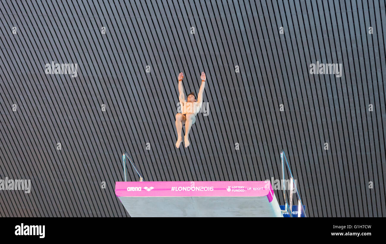 Aquatics Center, Olympic Park, Londres, Reino Unido. 15th de mayo de 2016. El buzo británico Tom Daley durante su ronda de 5th Reverse 3-1/2 somersaults Tuck. Daley gana oro con 570,50 puntos, Campeonato Europeo de Buceo, LEN European Aquatics Championships, Londres, Reino Unido. Crédito: Imageplotter News y Deportes/Alamy Live News Foto de stock