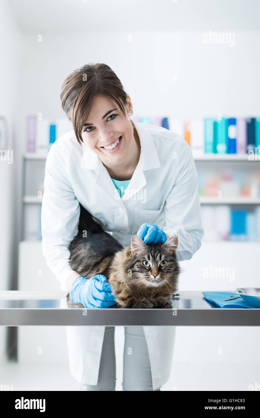 Examen veterinario un gato en la mesa quirúrgica, ella está sonriendo a la cámara, pet care concept Foto de stock