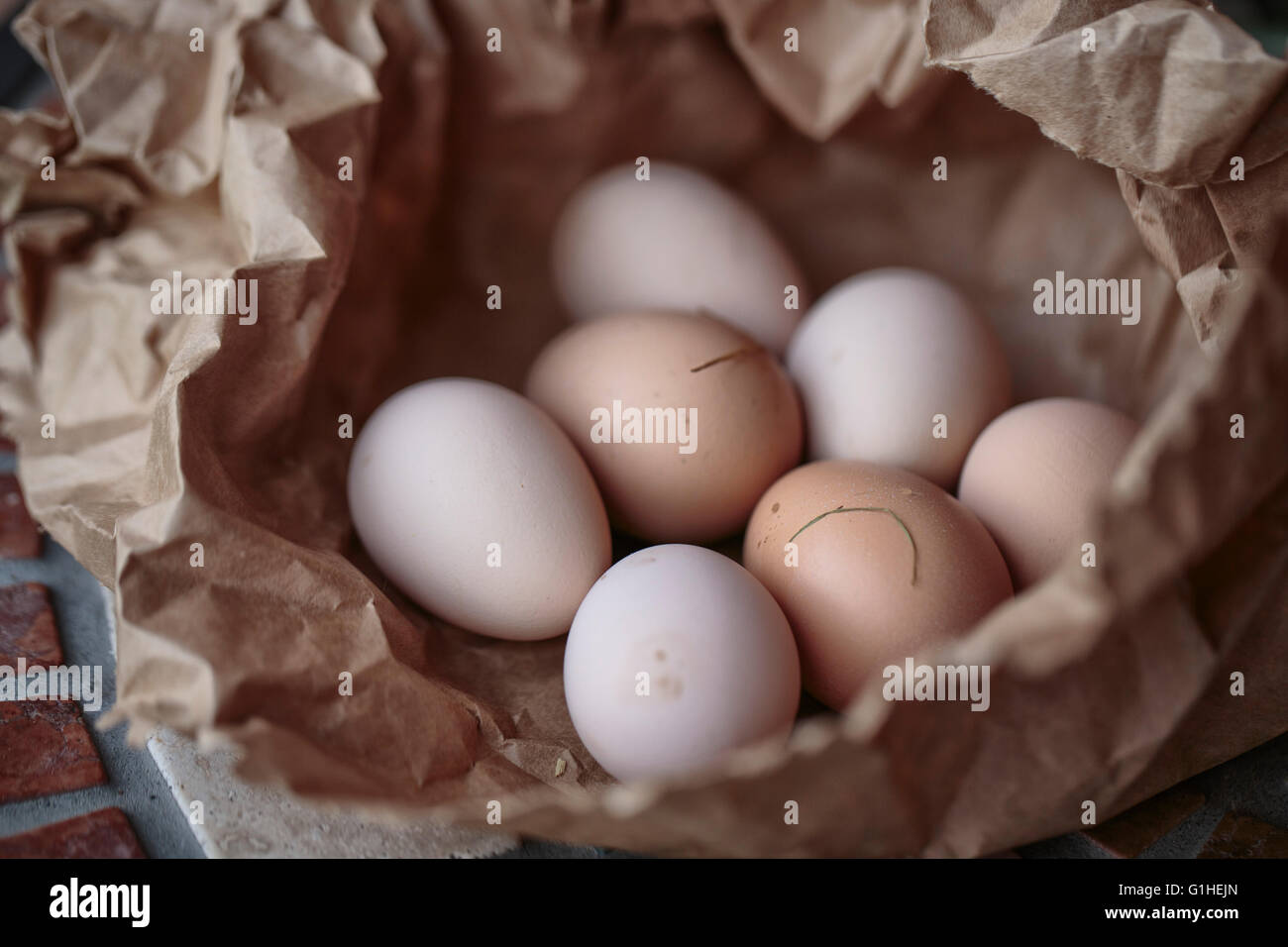 Los huevos de gallina frescos de roaming gratuito en animales de granja italiana Foto de stock