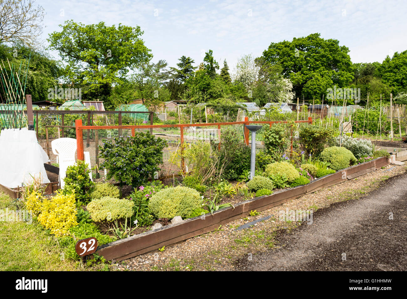 Bien cuidada asignación jardín en primavera. Una parcela de tierra para que las familias puedan cultivar hortalizas para uso personal. Foto de stock