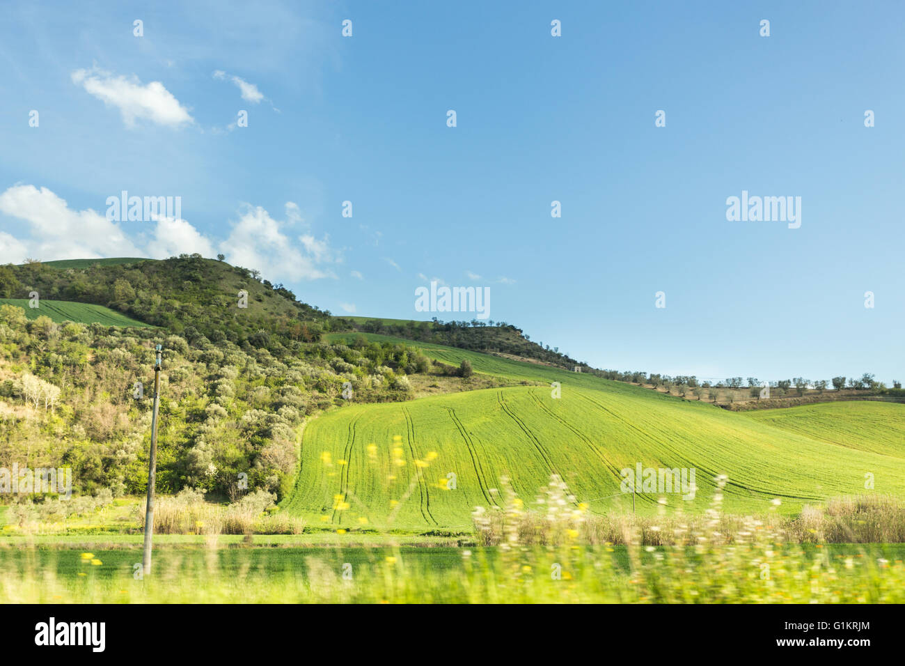 Primavera colinas de Lucania. Montemilone, Basilicata. Italia Foto de stock