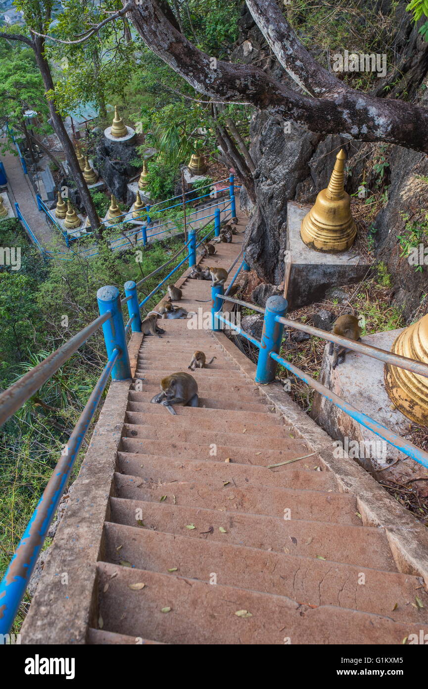 Wat Thum Sua en Krabi, Tailandia. Foto de stock