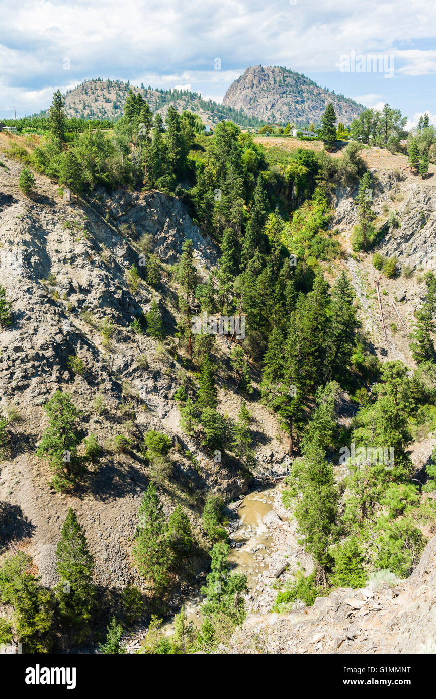 Trout Creek Canyon y el gigante en la cabeza, visto desde el Summerland ...