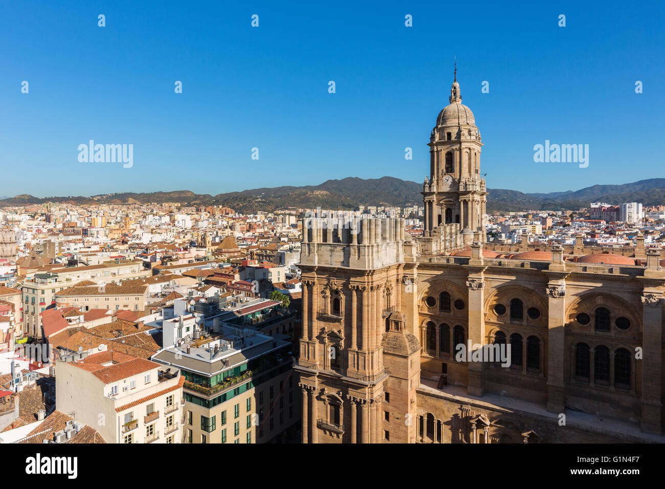 Málaga, provincia de Málaga, Costa del Sol, Andalucía, sur de España. La catedral renacentista. Foto de stock